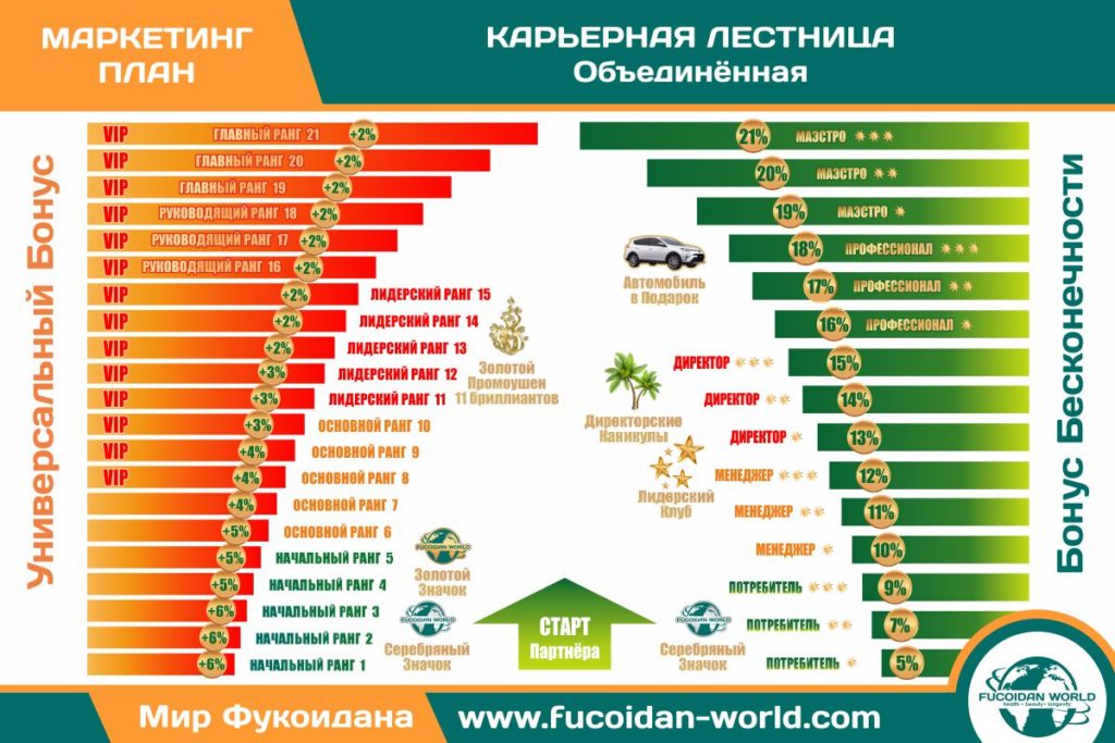 Маркетинговый план магазина техники